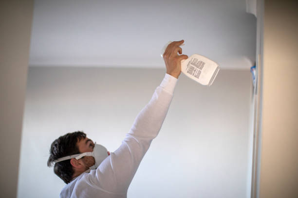 Best Certified Mold Removal  in Mineral Springs, AR