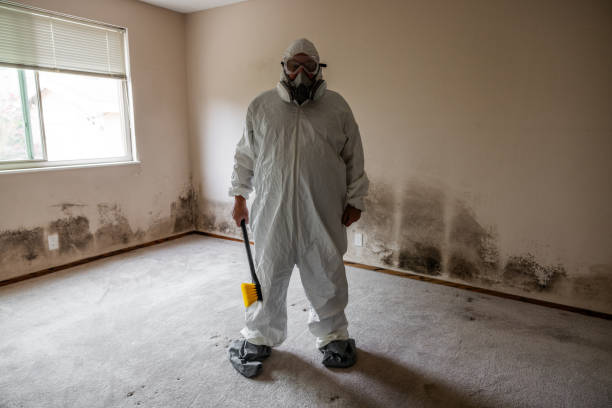 Water Damage Restoration in Mineral Springs, AR